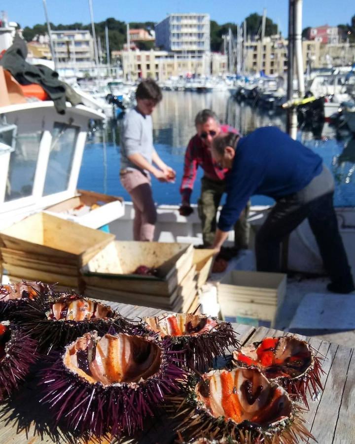 200M De La Plage ,3Mn Du Port A 50M Du Centre Ville Carry-le-Rouet Dış mekan fotoğraf